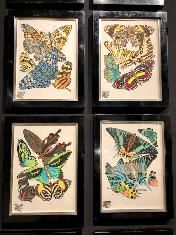 Seguy Papillons lithographs, circa 1929 at Shapero Rare books at TEFAF New York Fall 2017