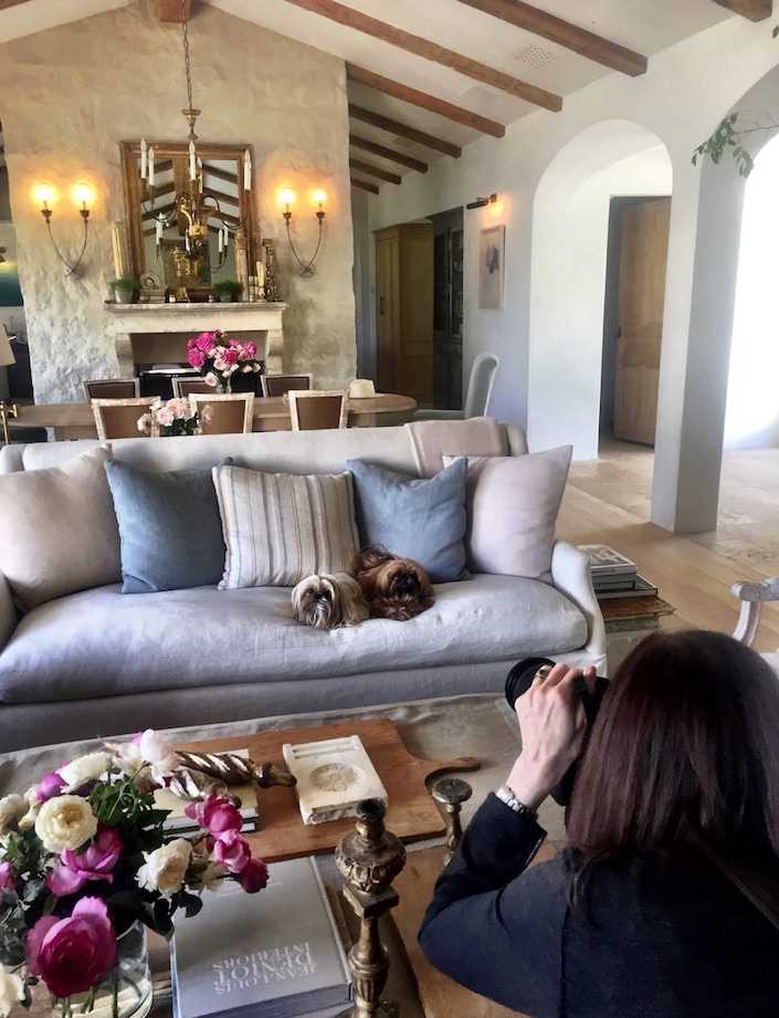 Stacey Bewkes shootint At Home with Dogs and Their Designers at Patina Farm