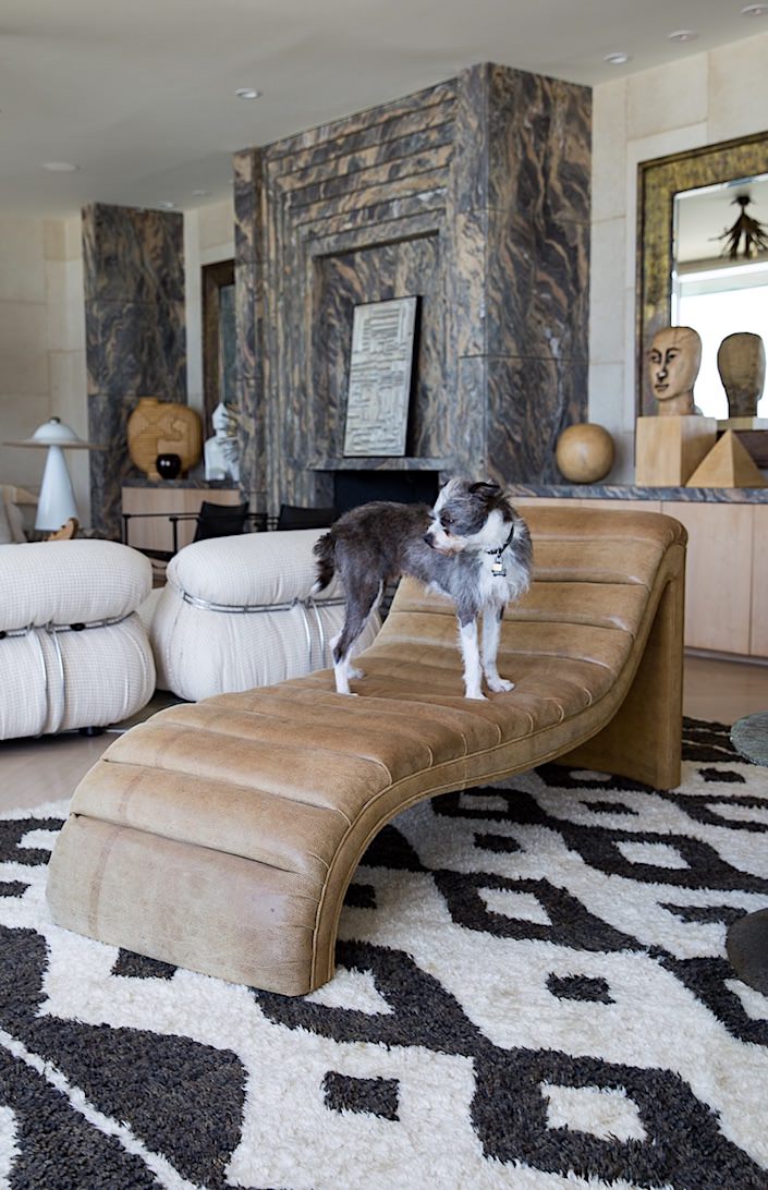 Willie Wearstler in At Home with Dogs and Their Designers 1