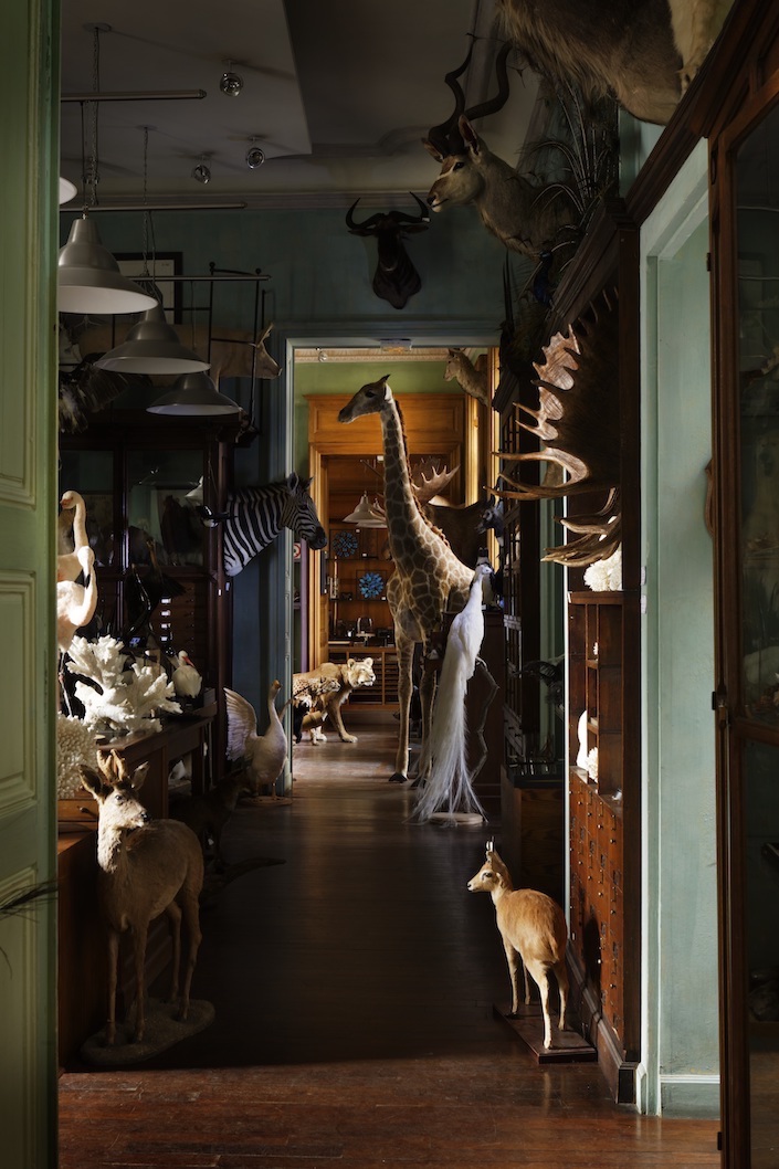 Intérieur de la boutique - Picture of Le Cabinet de Curiosites des  Batignolles, Paris - Tripadvisor