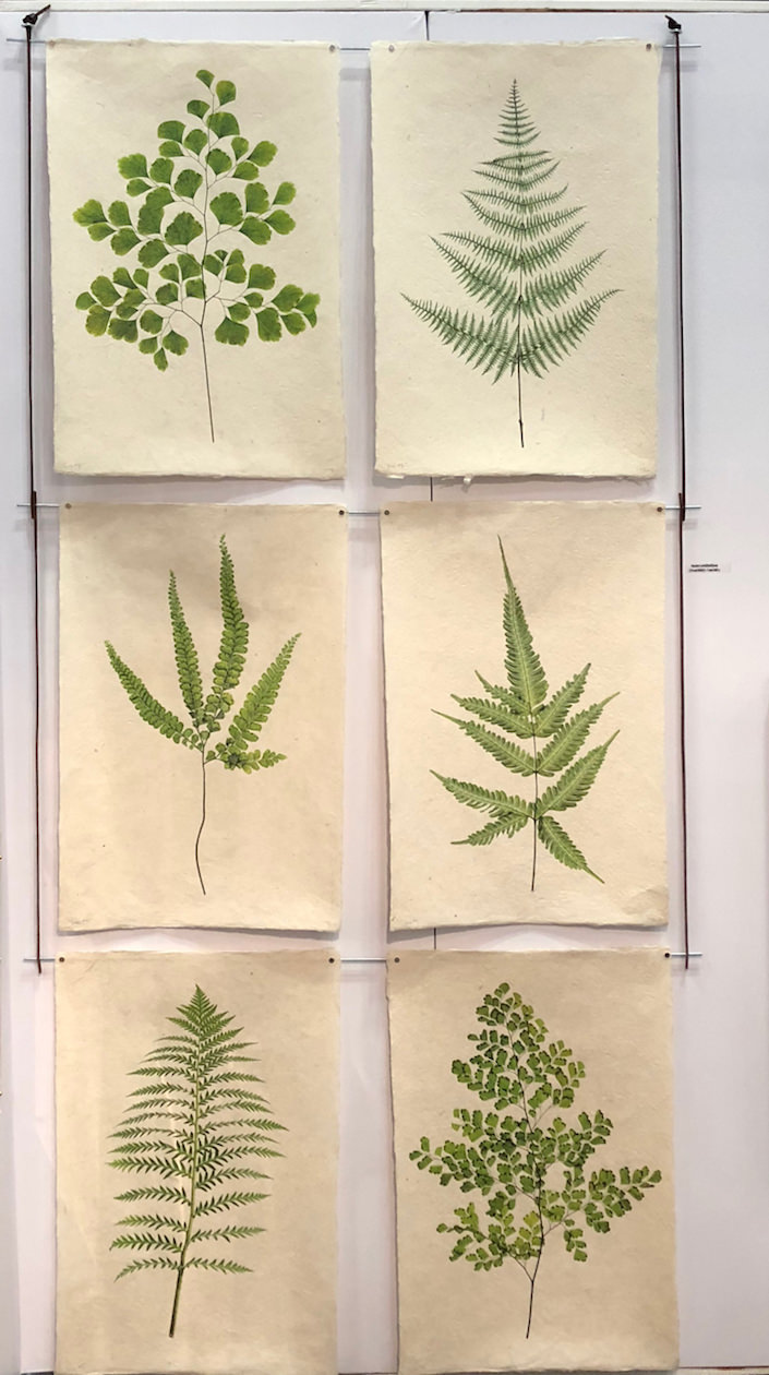 Barloga Studios Fern Prints at NY Now 2018