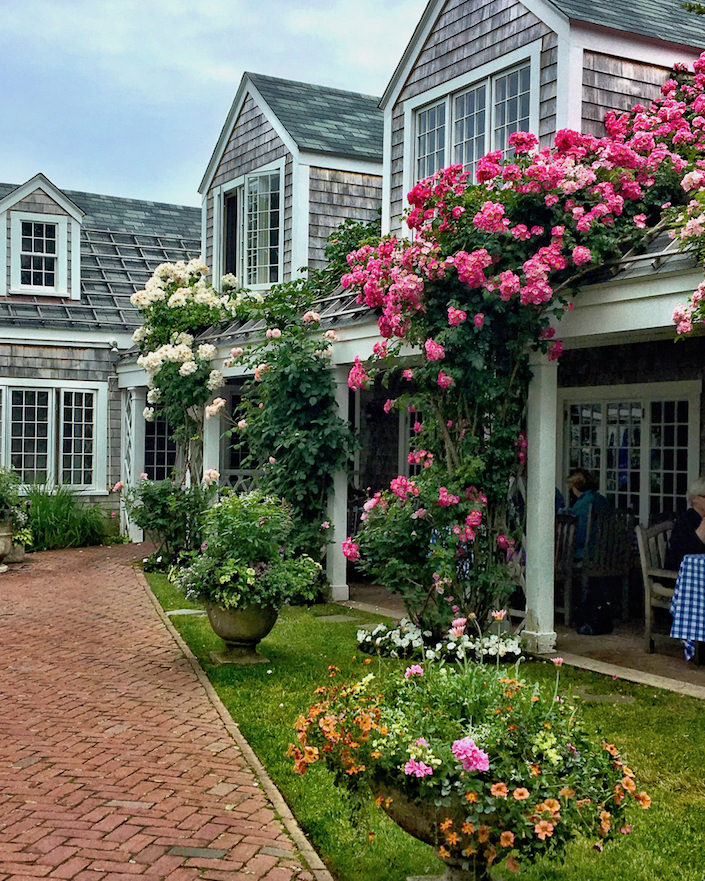 Chanticleer Nantucket via Quintessence-1