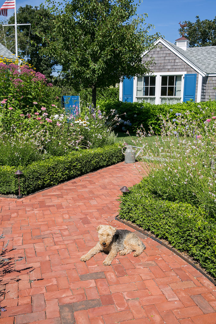 Gary McBournie on Nantucket - his dog Winston