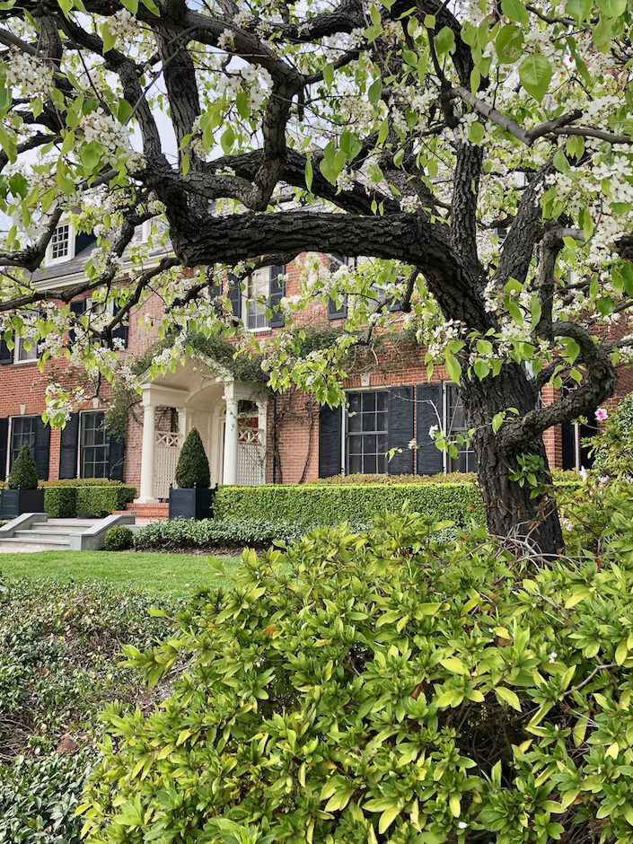 Suzanne Rheinstein Hancock Park