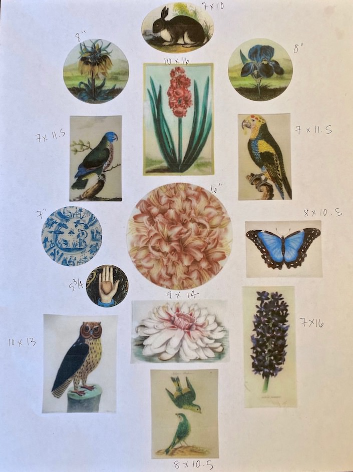 John Derian Picture Book Project layout with sizes via Quintessence