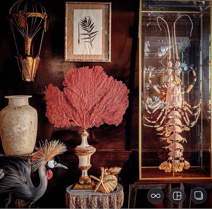 Coral and decorative objects at Creel and Gow