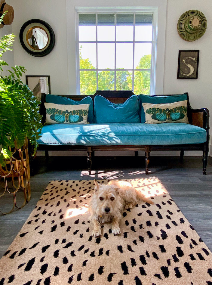 At Home in Connecticut with Susanna Salk - Quintessence