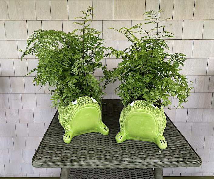 Jean Roger planters at Kate Rheinstein Brodsky's Hamptons home-1