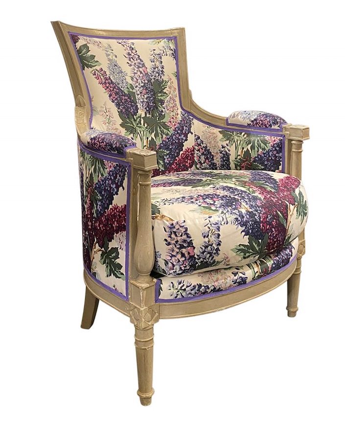 KRB Painted-Bergere-Delphinium-