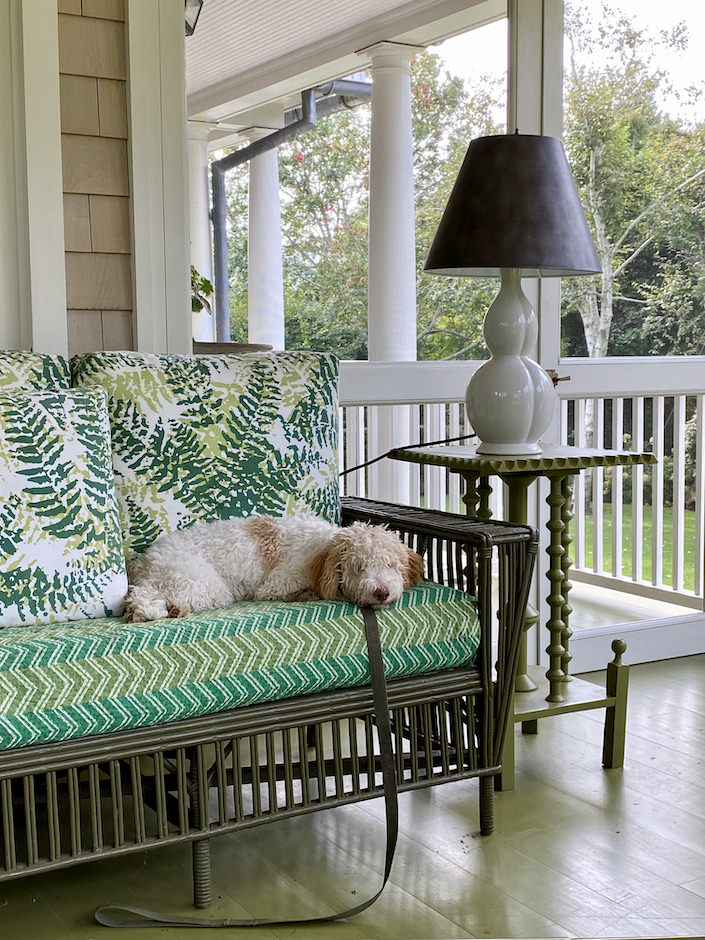 Kate Brodsky's dog Peaches on her Hamptons porch-1