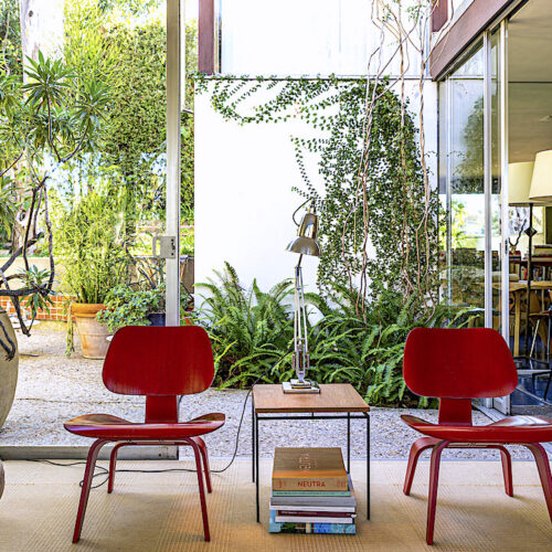 At Home with David Netto in Los Angeles