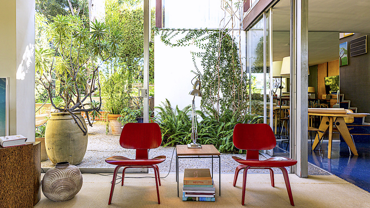 At Home with David Netto in Los Angeles