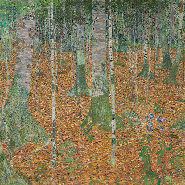 Gustav Klimt Birch Forest 1903 via Christie's
