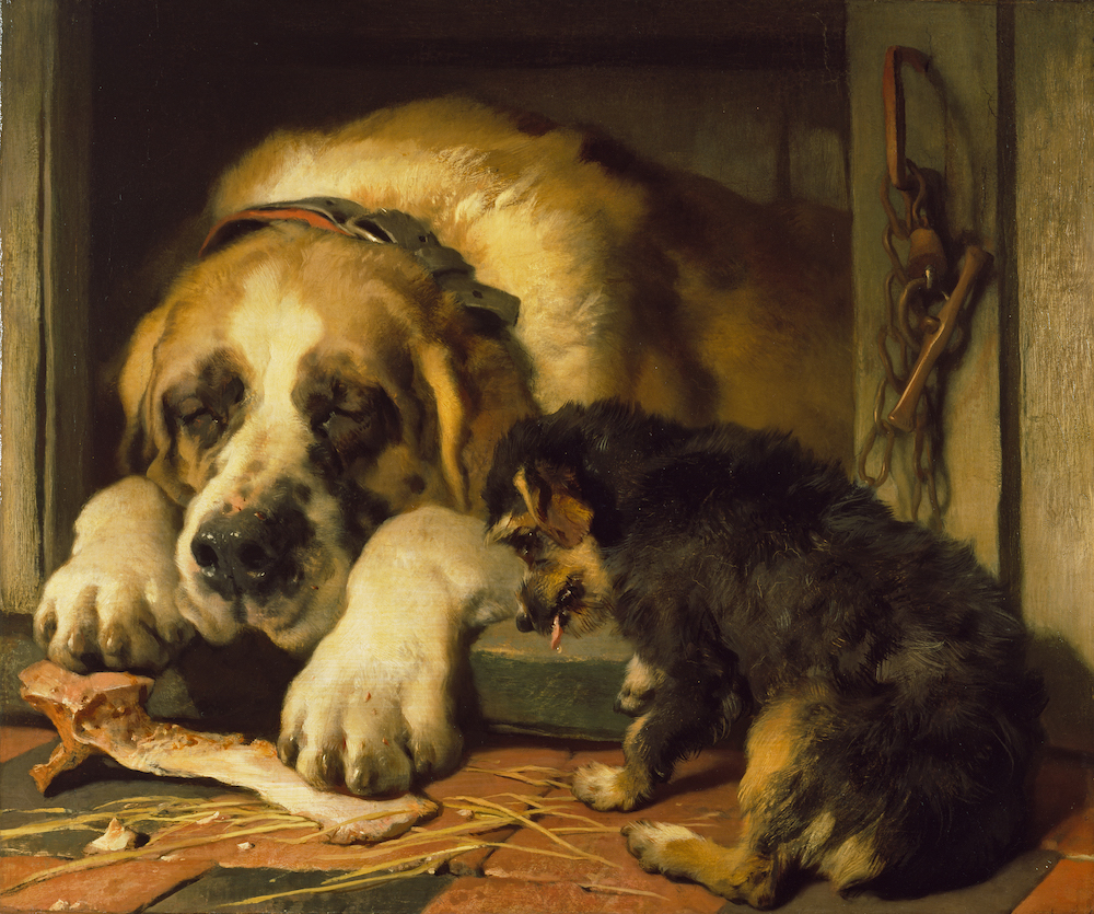 Edwin Landseer, Doubtful Crumbs, 1858-1859 © The Trustees of The Wallace Collection