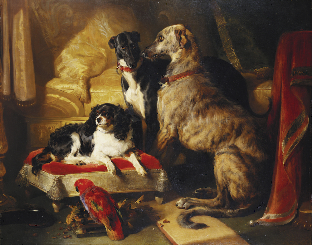 Portraits of Dogs: From Gainsborough to Hockney