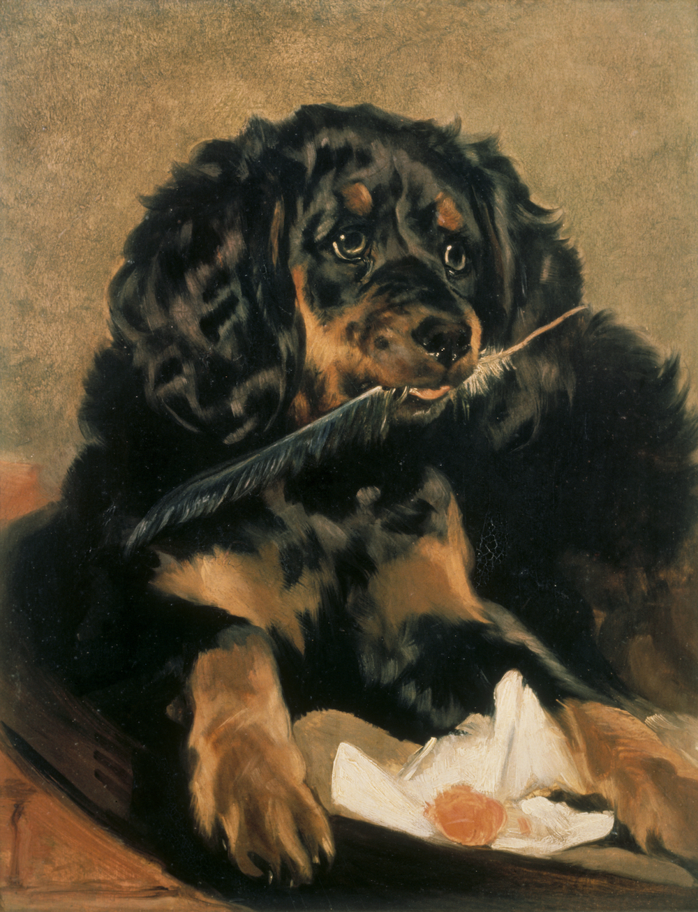 Edwin Landseer, Queen Victoria_s Spaniel ‘Tilco’, 1838 Anglesey Abbey © National Trust