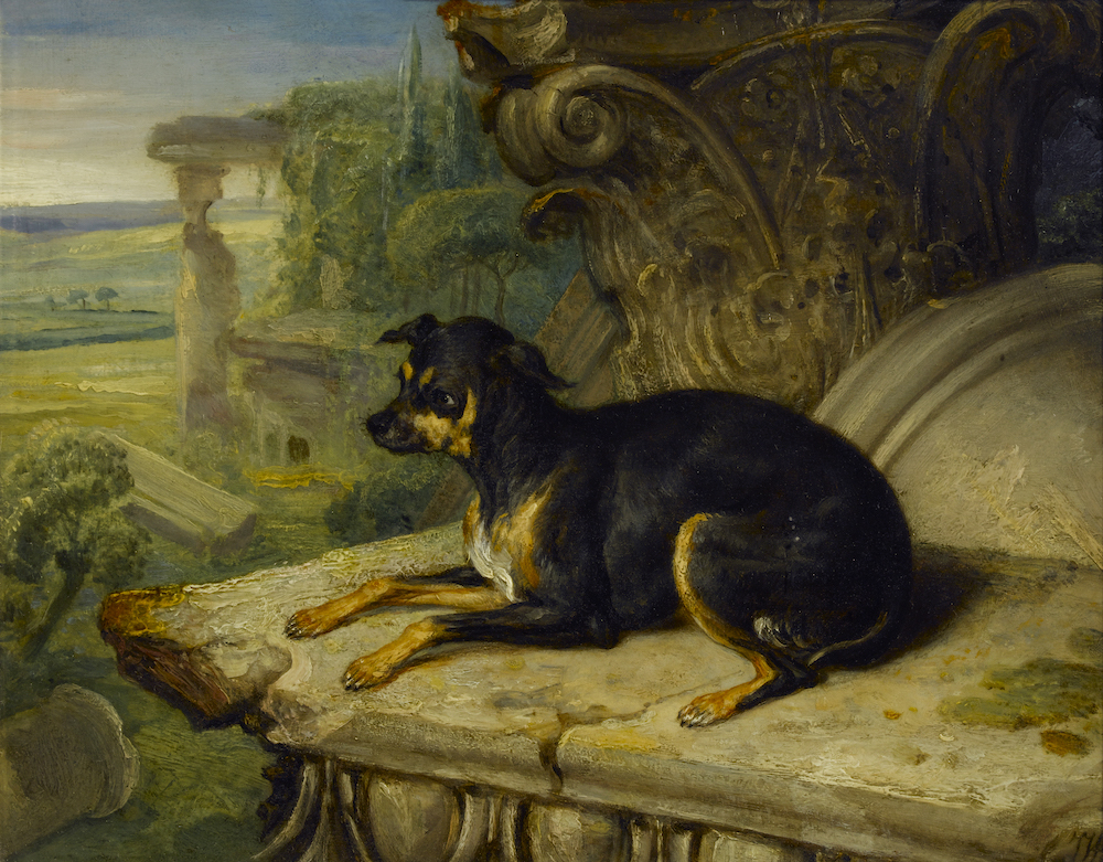 James Ward, Fanny, A Favourite Dog, 1822. By courtesy of the Trustees of Sir John Soane’s Museum, London