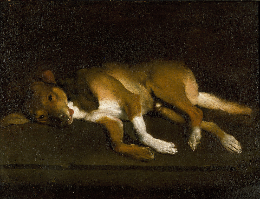 Unknown artist, Dog lying on a ledge, 1650-80 © Ashmolean Museum