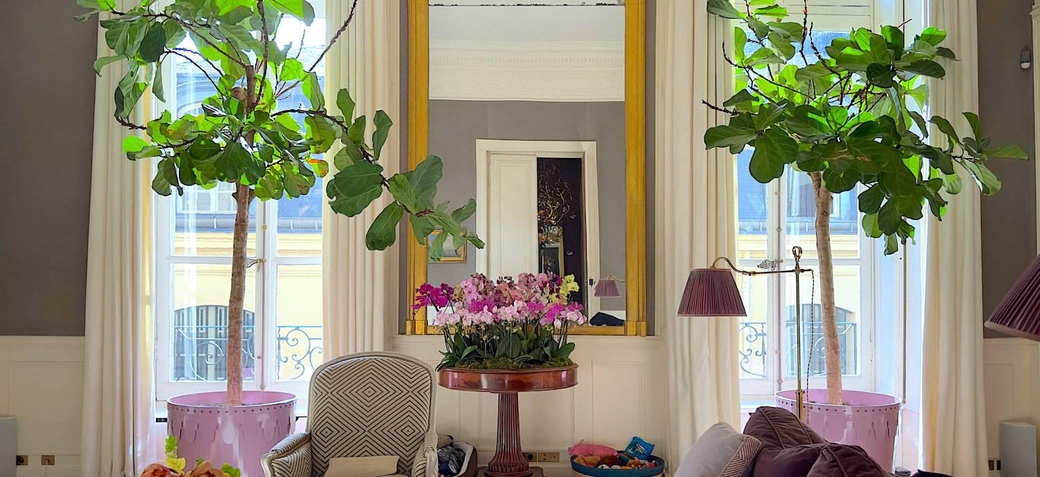 At Home in Paris with Pierre Sauvage
