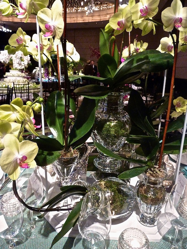 Baccarat at the NYBG Orchid Dinner