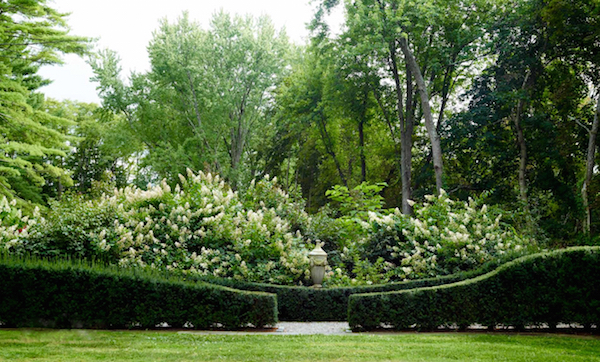 Bunny Williams gardens in Outstanding American Gardens