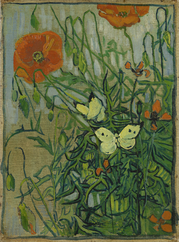 Van Gogh Butterflies and Poppies at the Clark Museum