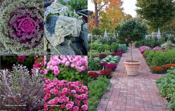 At Home in the Garden by Carolyne Roehm