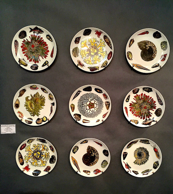 Fornasetti Conchiglie plates