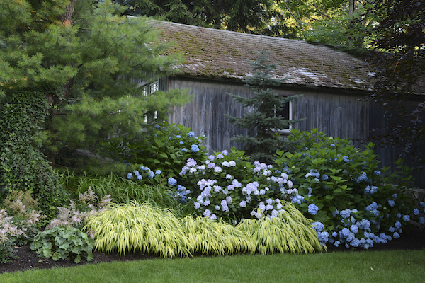 Gardens at First Light