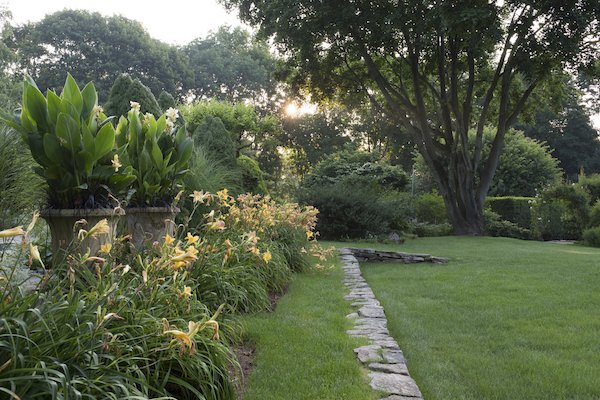 Gardens at First Light 