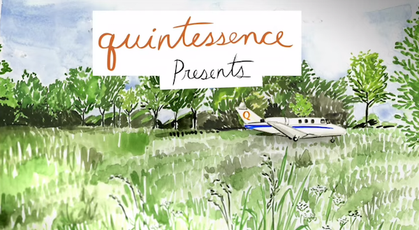 Hayley Sarno illustration for the Quintessence video series