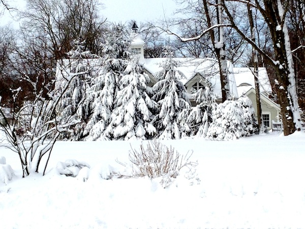 Winter in Connecticut