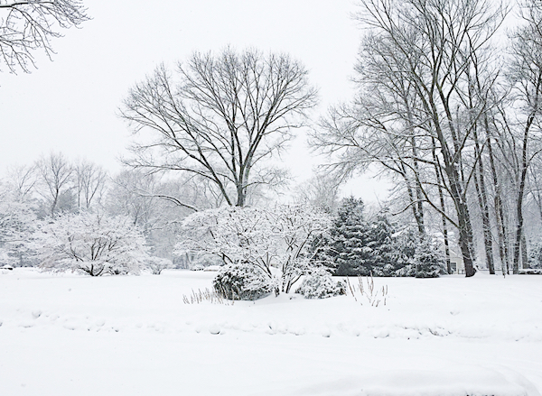 Weekend Update white out