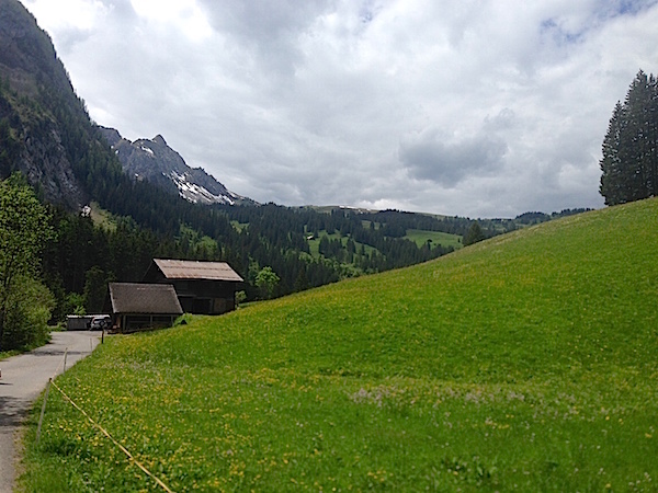 Michelle Nussbaumer's Gstaad