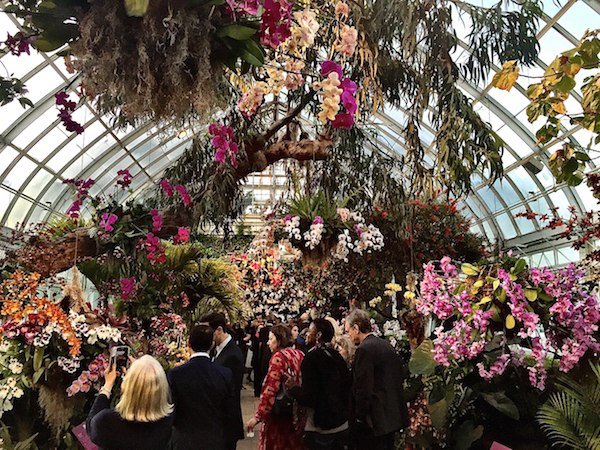 NY Botanical Garden Orchid Show