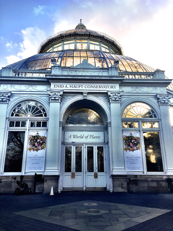 NYBG Orchid Show at the Enid A. Haupt Conservatory