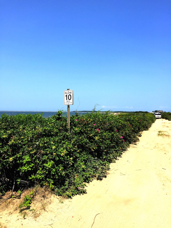 Nantucket walk