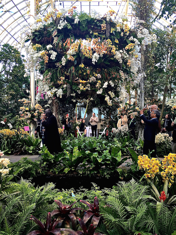 Orchid Show chandelier