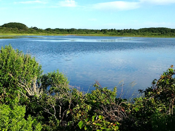 Quidnet pond on Nantucket via Quintessence