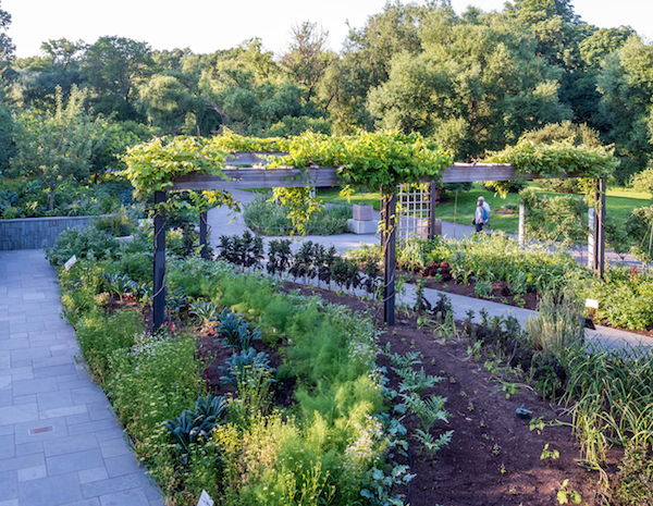 annual garden show