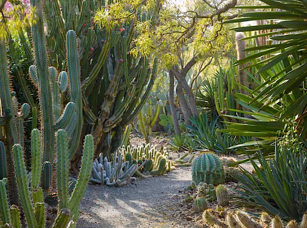 Ruth Bancroft Garden in Outstanding American Gardens