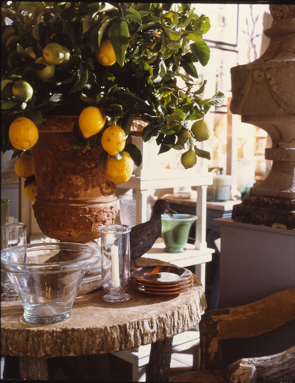 Treillage with lemon tree