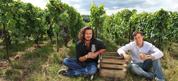 champagne tasting Vincent and Raphael Bereche