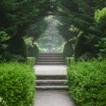 Walkway in The Good Garden