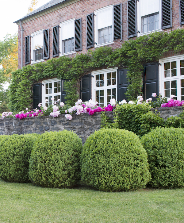 Gardens at First Light