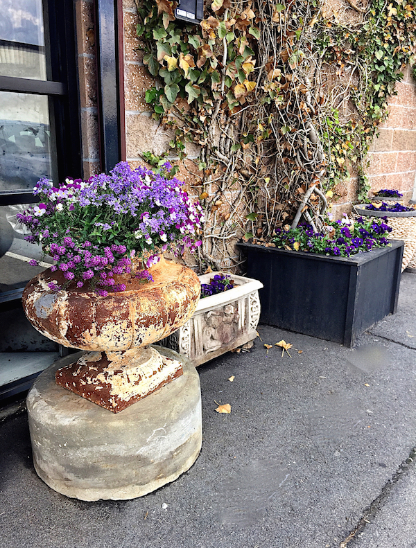 antique planter 