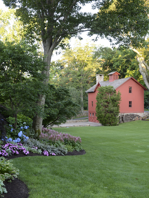 Gardens at First Light 