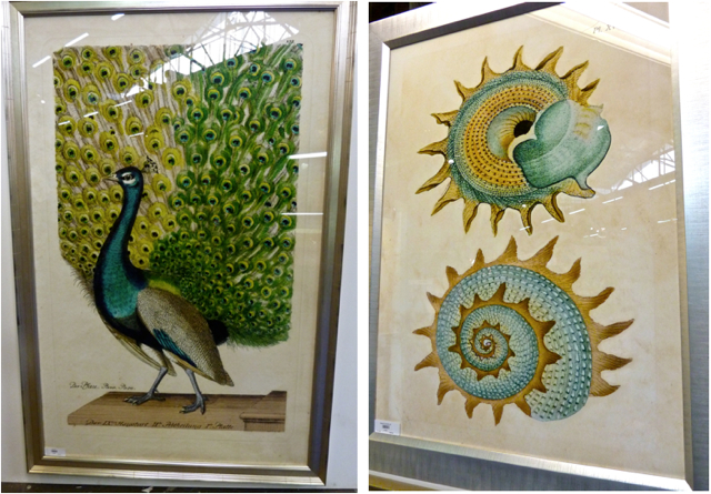 Wendover Art Peacock Print